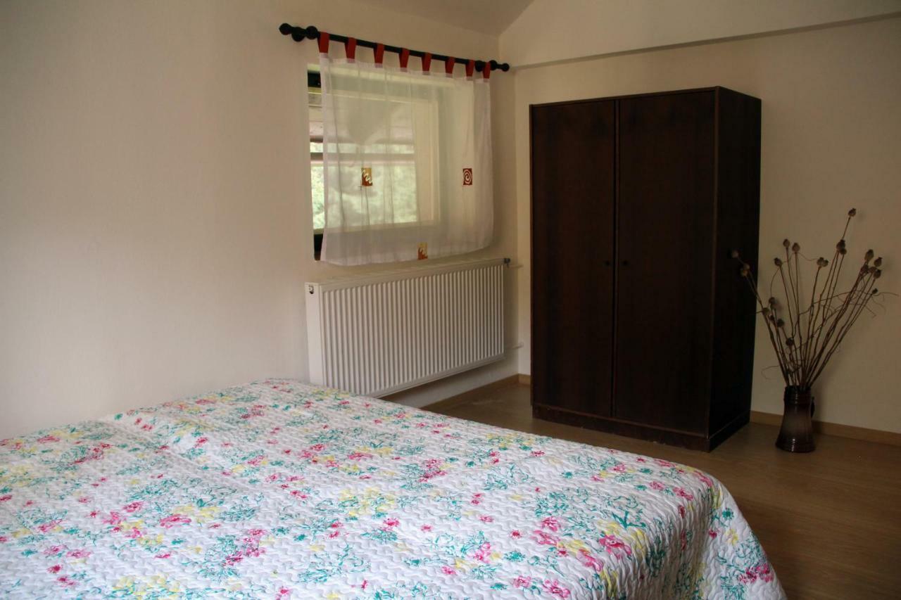Spacious House At The Gate Of Giant Mountains Vichova nad Jizerou Buitenkant foto