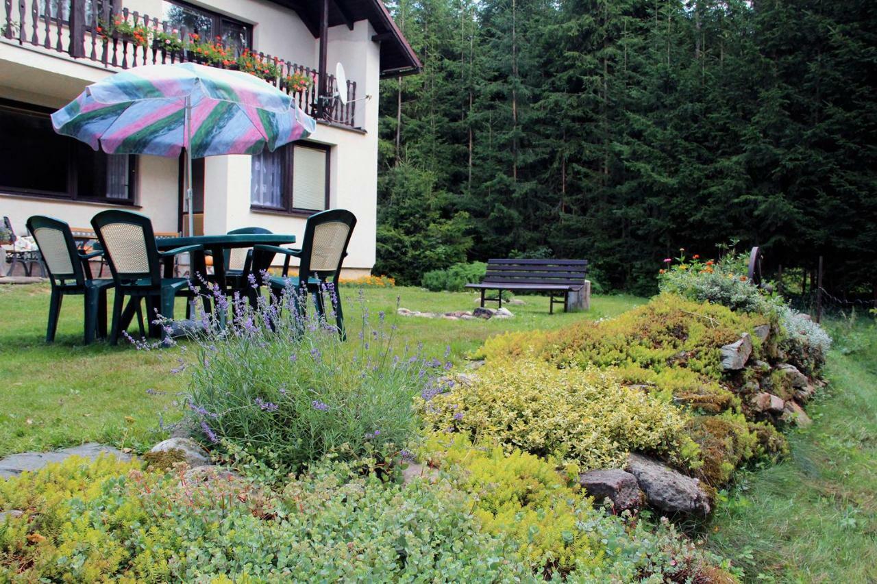 Spacious House At The Gate Of Giant Mountains Vichova nad Jizerou Buitenkant foto